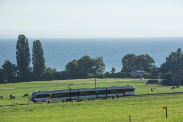 Der Thurbo-Zug mit Bodenseeblick