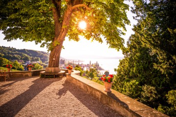 Einer der schönsten Orte am Bodensee ist die Aussichtsterrasse vor dem Napoleonschloss