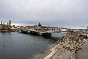 Der Seehas auf der Konstanzer Rheinbrücke