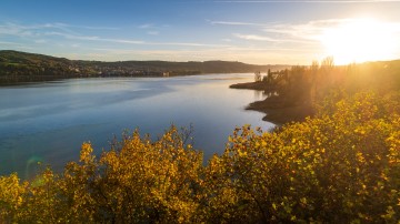 Goldene Herbstsonne über dem westlichen Bodensee