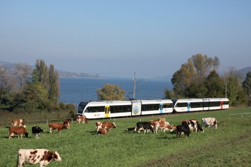 Mit dem Zug am Bodensee entlang